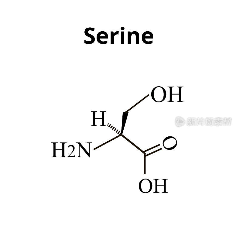 Serine amino acid. Chemical molecular formula Serine amino acid. Vector illustration on isolated background